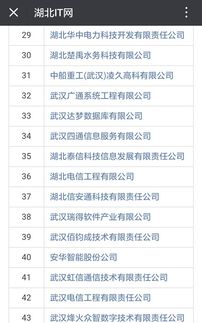 祝賀湖北47家企業(yè)成功通過信息系統(tǒng)集成資質(zhì)壹級與貳級認(rèn)證