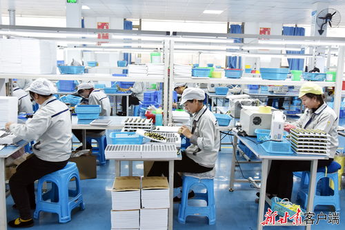 康樂 東西協作鄉(xiāng)村就業(yè)工廠節(jié)后復工生產忙