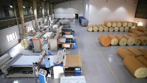 攜手共進(jìn)，共享發(fā)展機(jī)遇——海馬牌及軒琴居越南生產(chǎn)工廠開放日錄音制作紀(jì)實(shí)