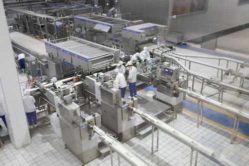 河北電視臺(tái)《冀有好物》攝制組赴大名縣錄制專刊